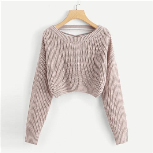 COLROVIE Pink Korean Criss Cross V Back Winter Crop Knitted Sweater Women Clothes 2018 Autumn Pullover Jumper Ladies Sweaters